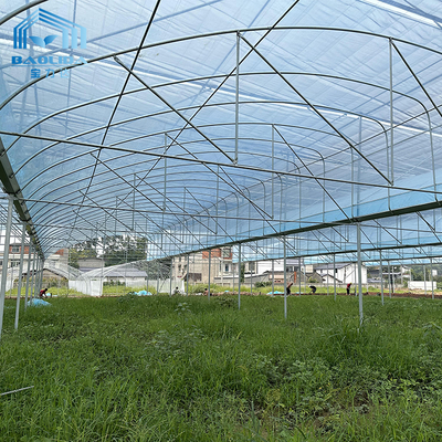 โรงเรือนกระจกหนัง PE ขนาดใหญ่ 6m-12m ความกว้าง 10 ปี การรับประกัน
