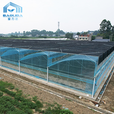 ชุดโรงเรือนกระจกการเกษตรหลายสเปน 6m-12m พร้อมรับประกัน 10 ปี