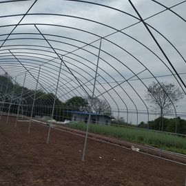 ฟิล์มโพลีเอทิลีน Singlespan Growing Greenhouse สำหรับผักผลไม้