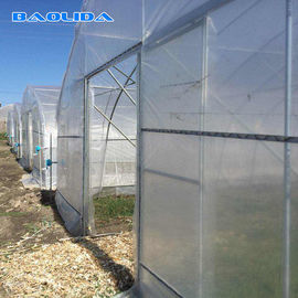 Singlespan Growing Farming Polyethylene Film เรือนกระจกสำหรับผัก