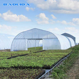 Single Span Polytunnel Greenhouse Kits การทำฟาร์มขนาดเล็กหรือขนาดใหญ่ตัวเลือก