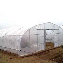 Single Span Polytunnel Greenhouse Kits การทำฟาร์มขนาดเล็กหรือขนาดใหญ่ตัวเลือก