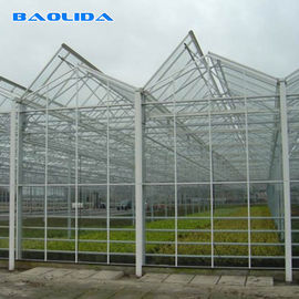 โครงสร้างเรือนกระจกทางการเกษตรแบบโกธิก Venlo ประกอบได้อย่างง่ายดาย