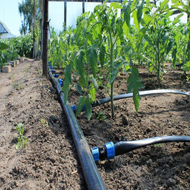 ระบบชลประทานในฟาร์มเรือนกระจก / เครื่องพ่นยา Polytunnel Watering System