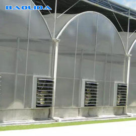 ระบบอัตโนมัติ Multi-Span Greenhouse PC ฟิล์มโพลีคาร์บอเนตเรือนกระจกโครงสร้างเหล็ก