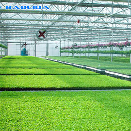 Plant Nursery Polyethylene Film Greenhouse Kit / โรงเรือนเทคโนโลยีฟาร์ม