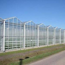 เรือนกระจกประเภท Venlo โปร่งใสทางการเกษตรสำหรับดอกไม้ผลไม้