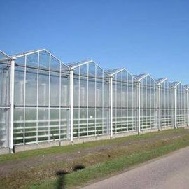 เรือนกระจกชนิด Venlo ที่มีความเสถียร / เรือนกระจก Venlo มาตรฐานสูงลักษณะที่ดี