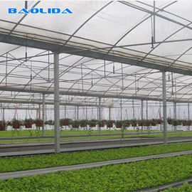 พลาสติกห่อหุ้มการเจริญเติบโตของพืชคุณภาพสูงที่ทนต่อลม 8 Mil Multi Span Greenhouse