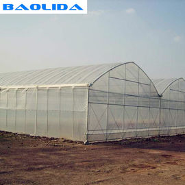 โครงเหล็กขนาดใหญ่ อุโมงค์สูง ฟิล์มคู่ Double Arch 4.5m Multi Span Greenhouse