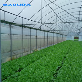 ฟิล์มโพลีเอทิลีนควบคุมอัตโนมัติ UV Protection เรือนกระจกหลายช่วงสำหรับการปลูกพืช