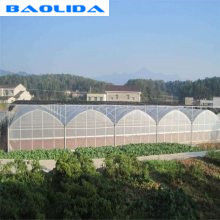 ฟิล์มโพลีเอทิลีนควบคุมอัตโนมัติ UV Protection เรือนกระจกหลายช่วงสำหรับการปลูกพืช