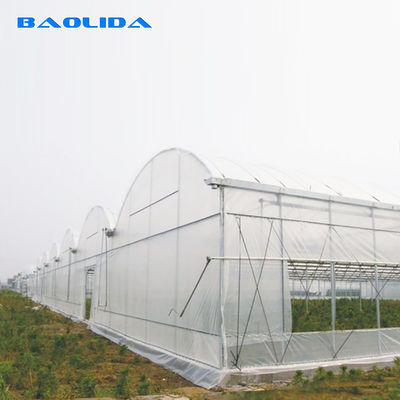 พืชเกษตรที่ปลูกพืชหลายช่วงระบบทำความเย็นเรือนกระจกพร้อมการระบายอากาศด้านบน/ด้านข้าง
