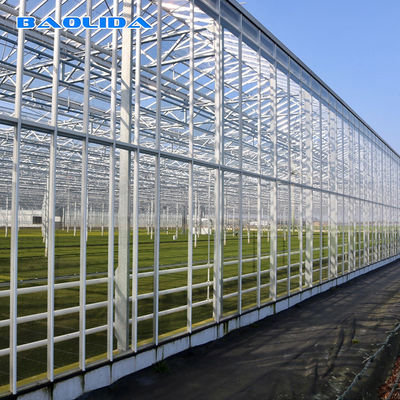 Tunnel Venlo Glass Greenhouse ควบคุมสภาพอากาศอัตโนมัติ