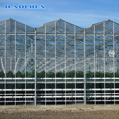 ด้านข้างและระบบระบายอากาศด้านบน Multispan Glass Covered Venlo Type Greenhouse