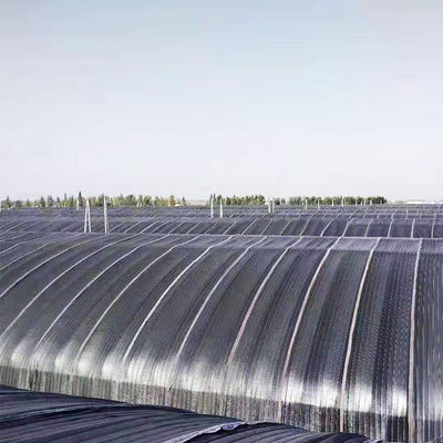 10m * 100m Hydroponic Light Deprivation Greenhouse สำหรับการปลูกกัญชา