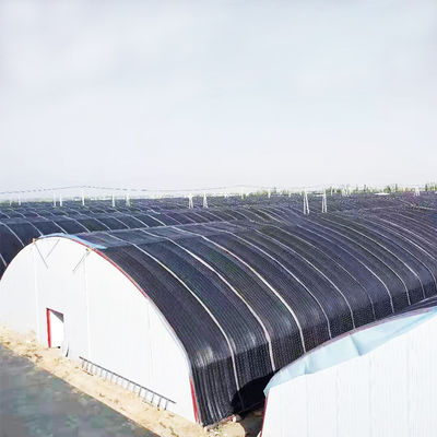 10m * 100m Hydroponic Light Deprivation Greenhouse สำหรับการปลูกกัญชา