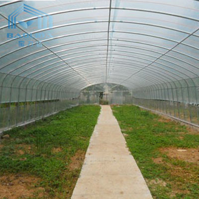 พืชเกษตรที่กำลังเติบโตในฟาร์มฟิล์มโพลิเอธิลีนช่วงเดียวอุโมงค์เรือนกระจกพลาสติก