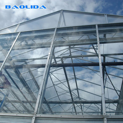 Heavy Duty Gaivalnized Steel Pipe Glass Multi Span Greenhouses เรือนกระจกประเภท Venlo