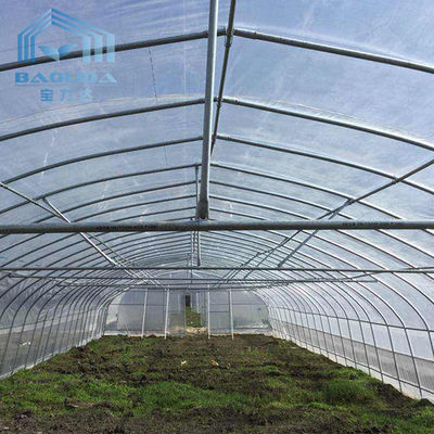 การทำฟาร์มเรือนกระจกอุโมงค์ Singlespan พร้อมระบบชลประทานและระบบปลูกแบบ Hydroponic