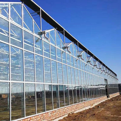 สวนฤดูหนาวคลุมเห็ดเรือนกระจกพลังงานแสงอาทิตย์เรือนกระจก Multi Span Venlo Type Greenhouse