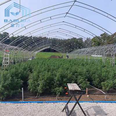 Double Arch Side Ventilation Single Span Greenhouse สำหรับการปลูกสตรอเบอรี่เพื่อการเกษตร