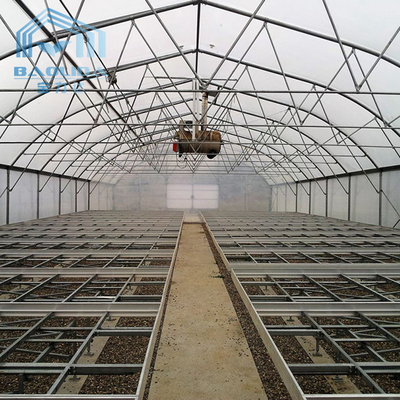 การทำฟาร์มเรือนกระจกอุโมงค์ Singlespan พร้อมระบบชลประทานและระบบปลูกแบบ Hydroponic