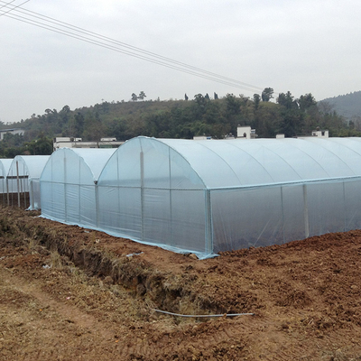 ฟิล์มพลาสติกการเกษตร Multi Span Greenhouse Tomato Strawberry Hydroponic