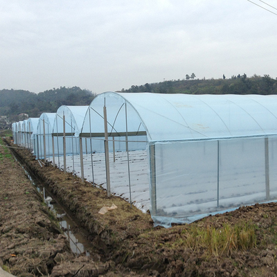ฟิล์มพลาสติกการเกษตร Multi Span Greenhouse Tomato Strawberry Hydroponic