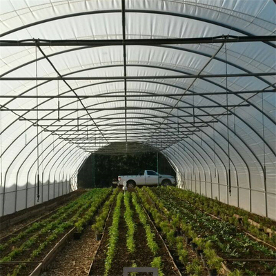Hydroponic Metal Frame อุโมงค์ Single Span Greenhouse เกษตรกรรมการทำฟาร์มปลูก