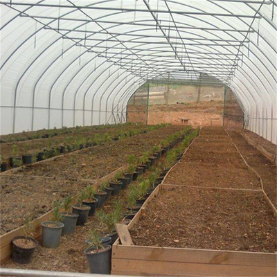 Hydroponic Metal Frame อุโมงค์ Single Span Greenhouse เกษตรกรรมการทำฟาร์มปลูก
