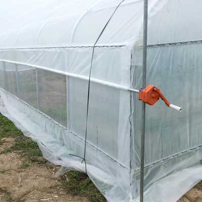 สตรอเบอรี่ที่กำลังเติบโตทางการเกษตรช่วงเดียว 2m เรือนกระจกพลาสติกอุโมงค์