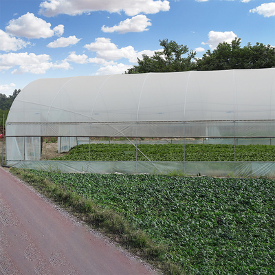 โครงเหล็กชุบสังกะสีกลางแจ้งเรือนกระจกฟิล์มพลาสติกอุโมงค์การเกษตร