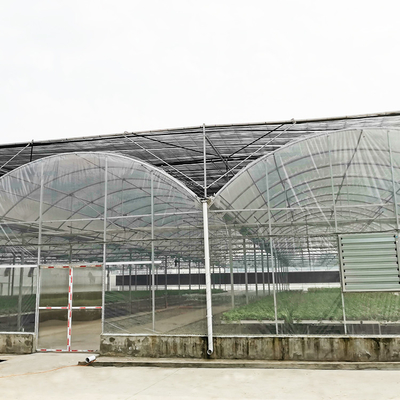 ระบบแรเงาภายใน Multi Span Greenhouse เชิงพาณิชย์อัตโนมัติสำหรับ High Wind