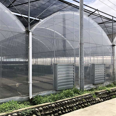 ระบบแรเงาภายใน Multi Span Greenhouse เชิงพาณิชย์อัตโนมัติสำหรับ High Wind