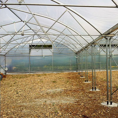 โครงเหล็กชุบสังกะสีหลายช่วงเรือนกระจกทางการเกษตรการปลูกผักดอกไม้