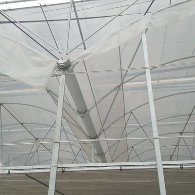 ระบบแรเงาภายใน การระบายอากาศด้านข้าง Multi Span Greenhouse Automatic Control