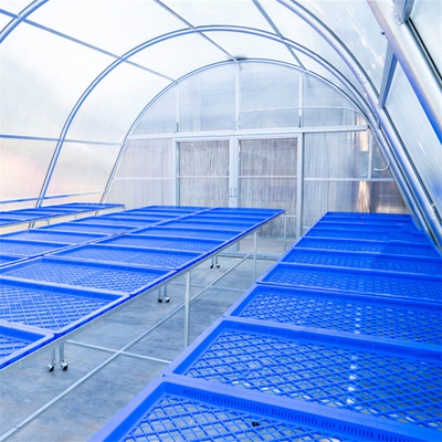 Poly Tunnel Single Span แผ่นโพลีคาร์บอเนต Greenhouse Sun Solar Dryer สำหรับยาง