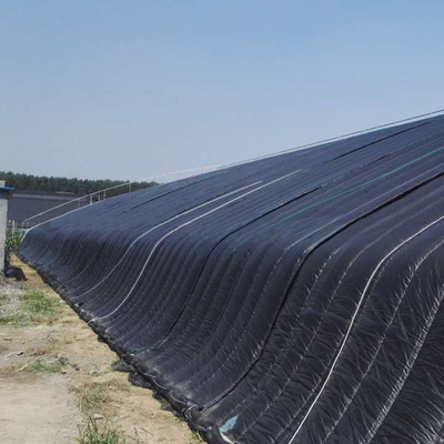 การเกษตร การทำฟาร์ม Solar Hydroponic Greenhouse Passive Solar