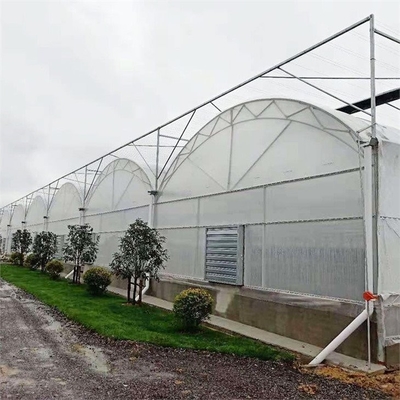 โครงเหล็กขนาดใหญ่ อุโมงค์สูง ฟิล์มคู่ Double Arch 4.5m Multi Span Greenhouse