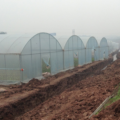 พืชเกษตรทนลมปลูกระบบ Hydroponic Poly Film Multi Span Greenhouse